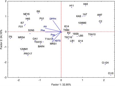 Bioprocessing of Brewers’ Spent Grain Enhances Its Antioxidant Activity: Characterization of Phenolic Compounds and Bioactive Peptides